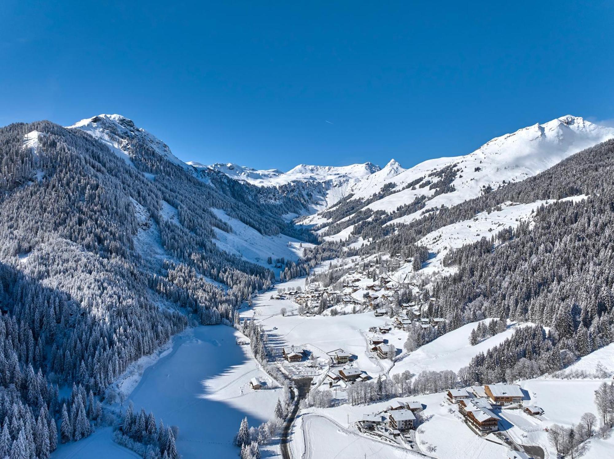 Boutique Apartment Saalbach